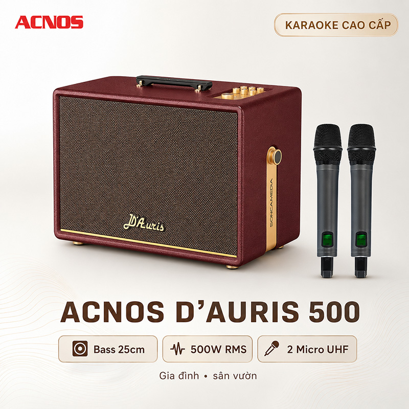 Loa Acnos D’Auris 500 (Bass 25cm, 500W/2000W, Bluetooth 5.0, Kèm 2 micro)