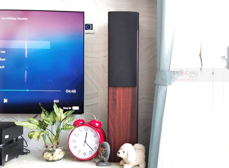 Mặt trước loa cột đứng