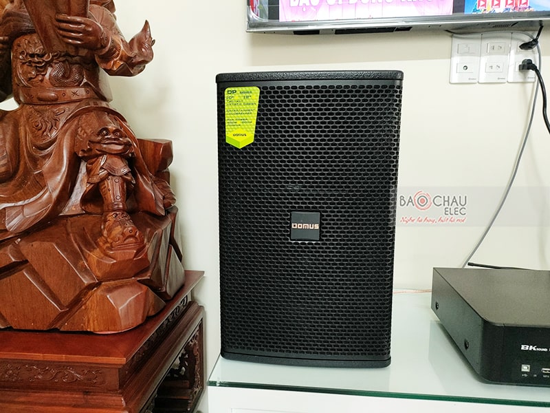Loa karaoke Domus DP 6100 (full bass 25cm)