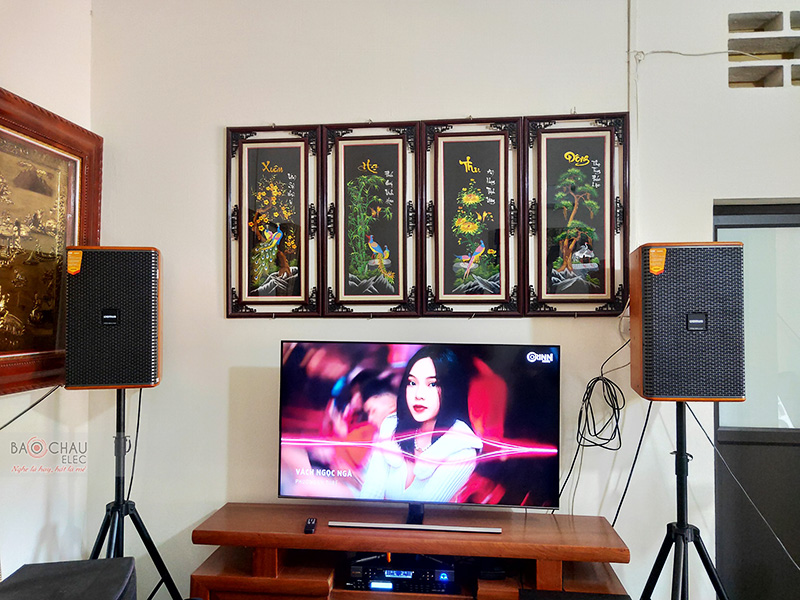 Loa karaoke Domus DK612