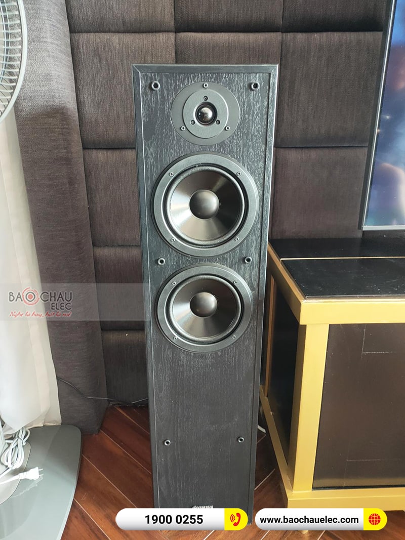 D&agrave;n nghe nhạc anh Nam 