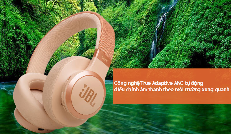 Tai nghe JBL Live 770NC 