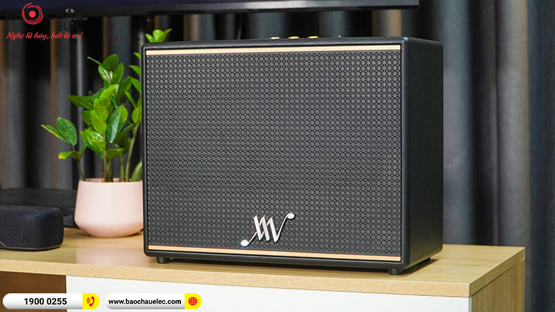 Loa Bluetooth Retro Alpha Works Classic V100 