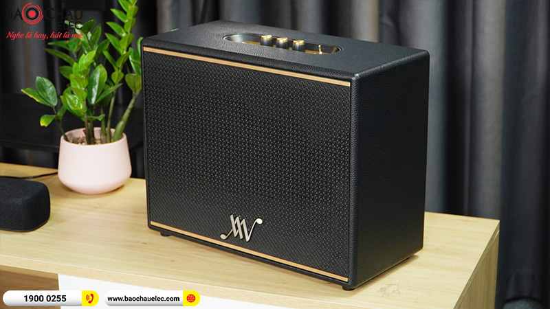 Loa Bluetooth Retro Alpha Works Classic V100 