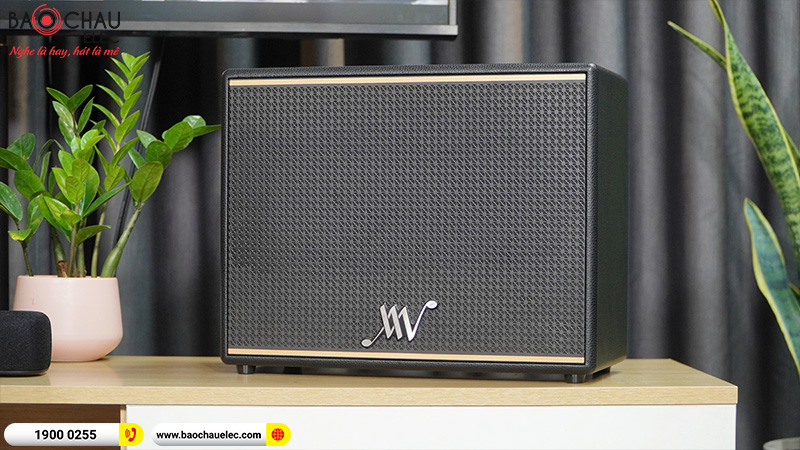 Loa Bluetooth Retro Alpha Works Classic V100 