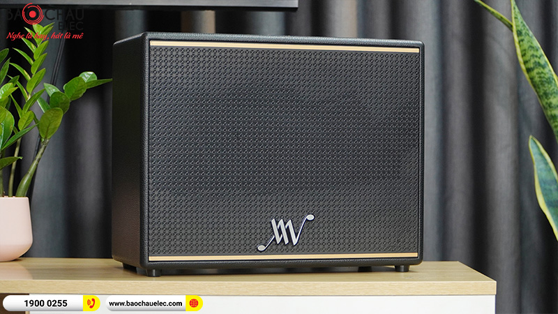 Loa Bluetooth Retro Alpha Works Classic V100 