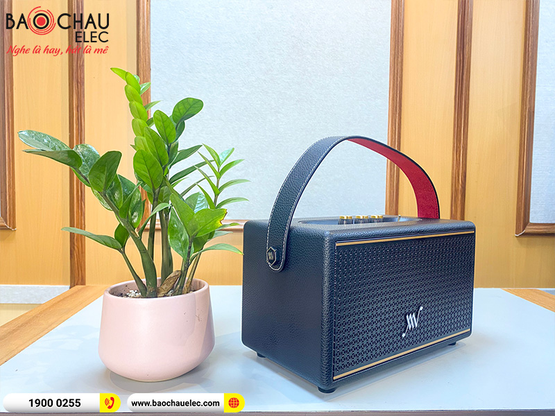 Loa Bluetooth Retro Alpha Works Classic V60