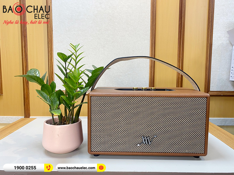 Loa Bluetooth Retro Alpha Works Classic V80 