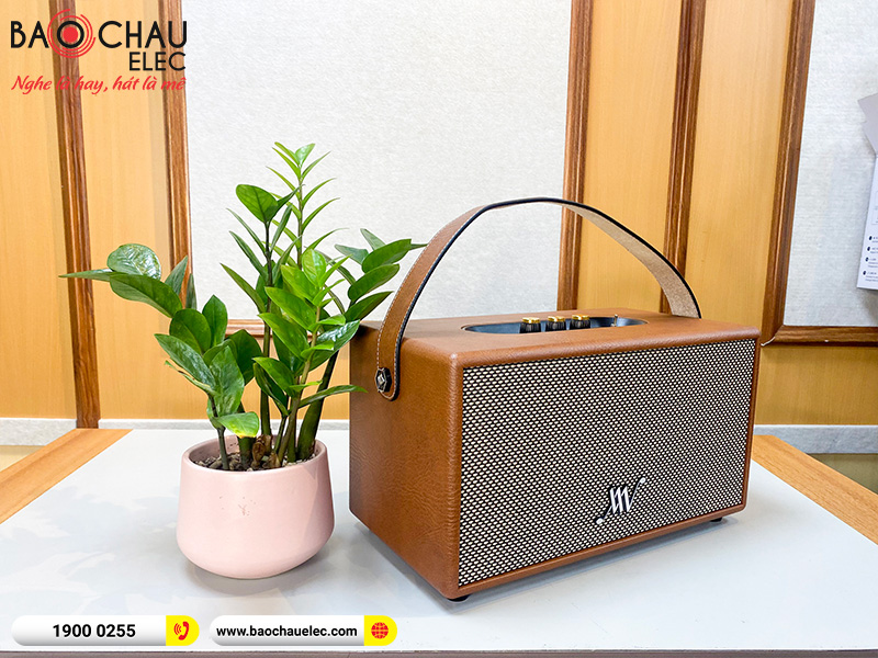 Loa Bluetooth Retro Alpha Works Classic V80 