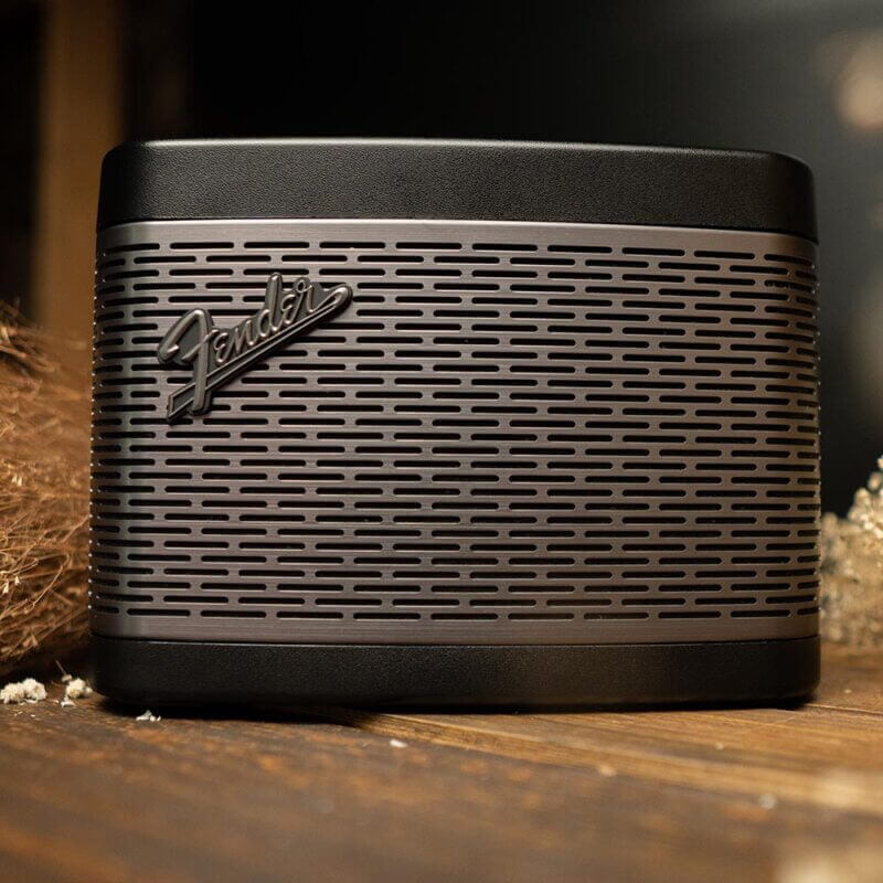 Loa Fender Newport 2