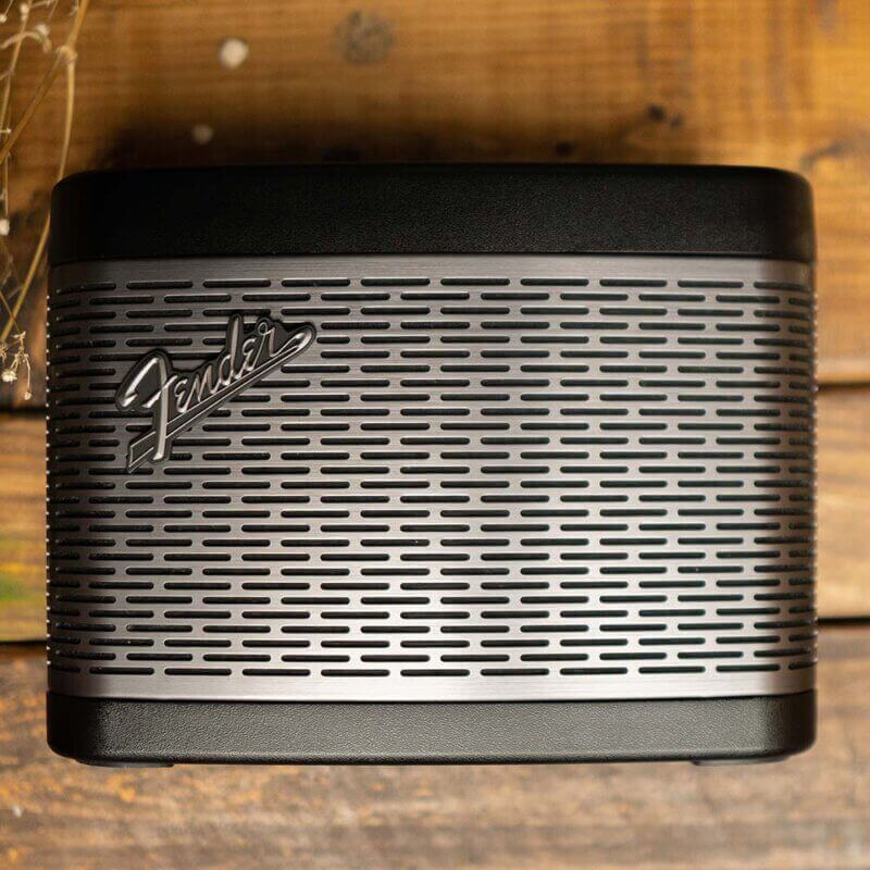 Loa Fender Newport 2