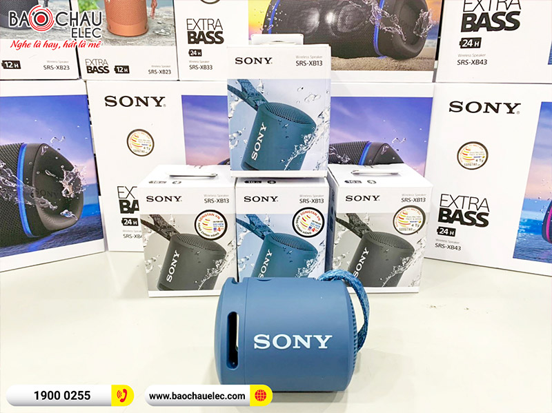 Loa bluetooth Sony SRS-XB13