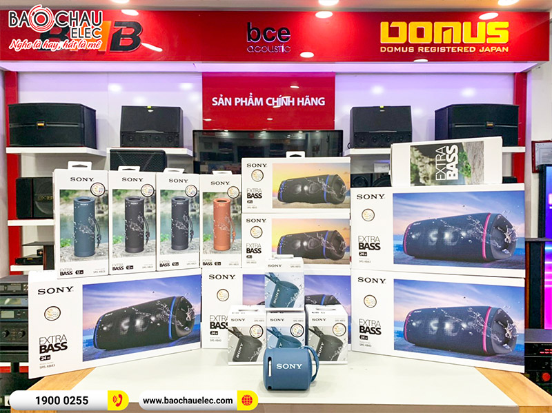 Loa bluetooth Sony SRS-XB13