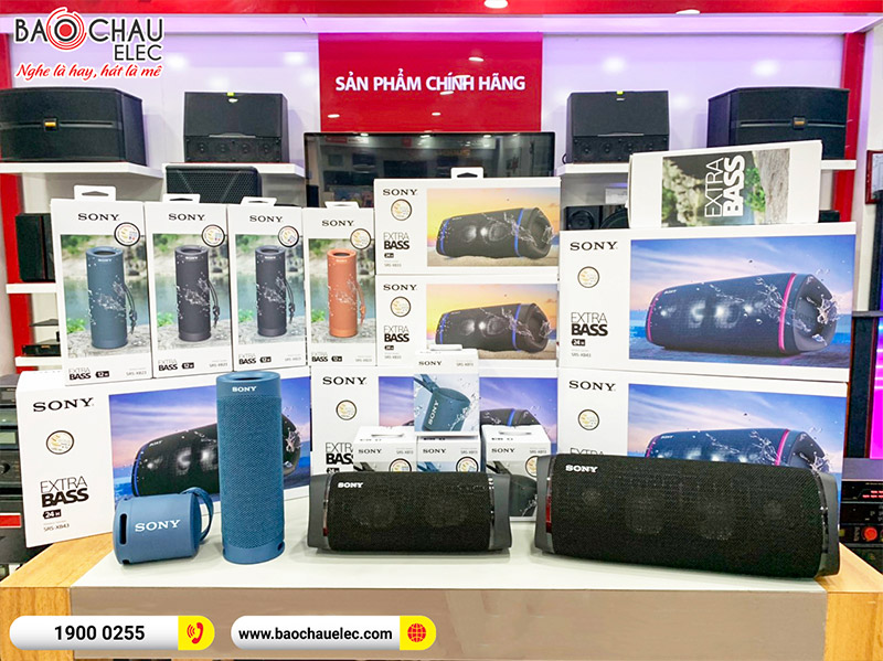 Loa Sony SRS-XB33