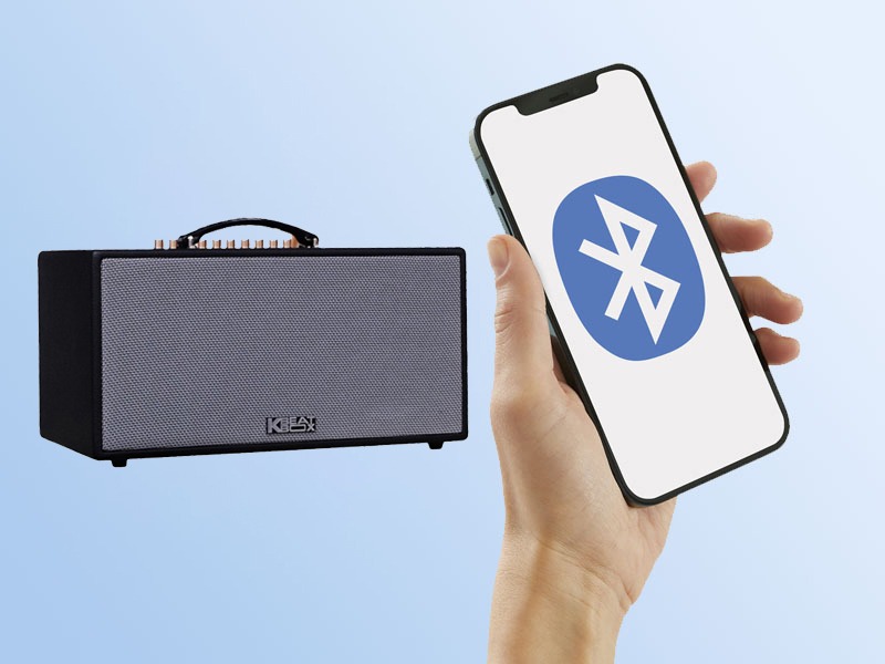 Loa x&aacute;ch tay Acnos CS450neo