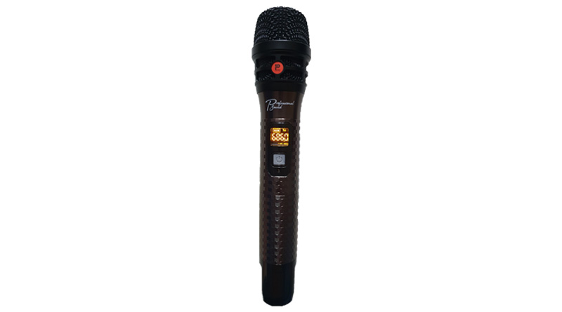 Loa kéo Prosing W8 – KOR (bass 20cm)