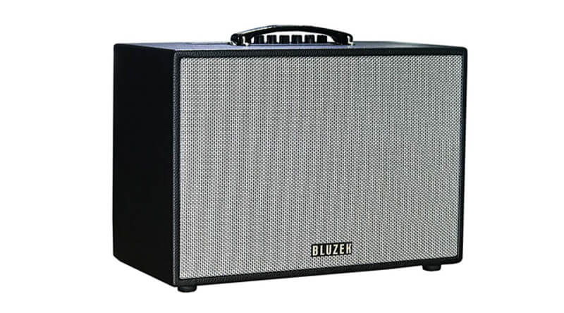 Loa Bluzek BZ250PU