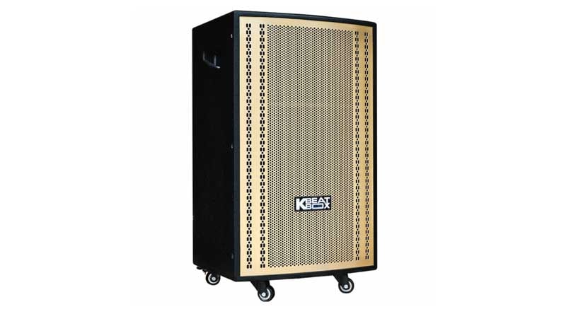 Loa k&eacute;o Acnos CB30501G