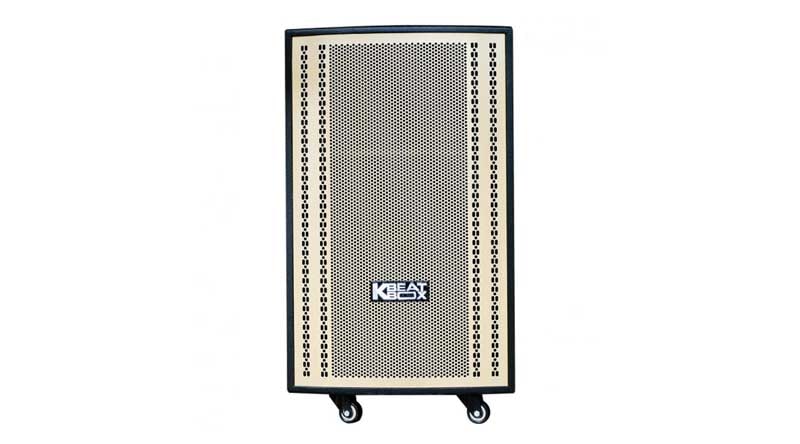 Loa k&eacute;o Acnos CB30501G
