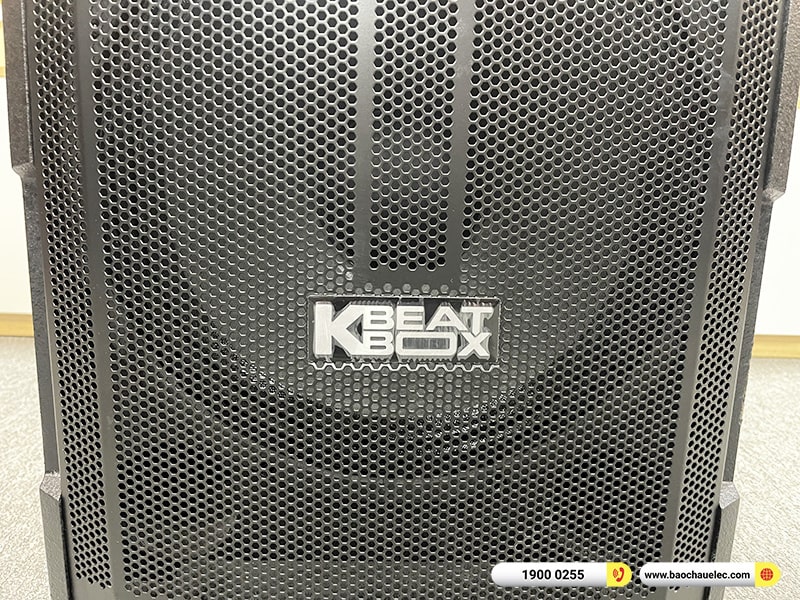 Loa k&eacute;o ACNOS CB391G