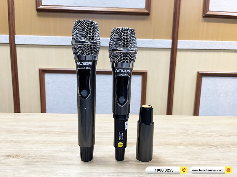 Loa k&eacute;o ACNOS CB391G