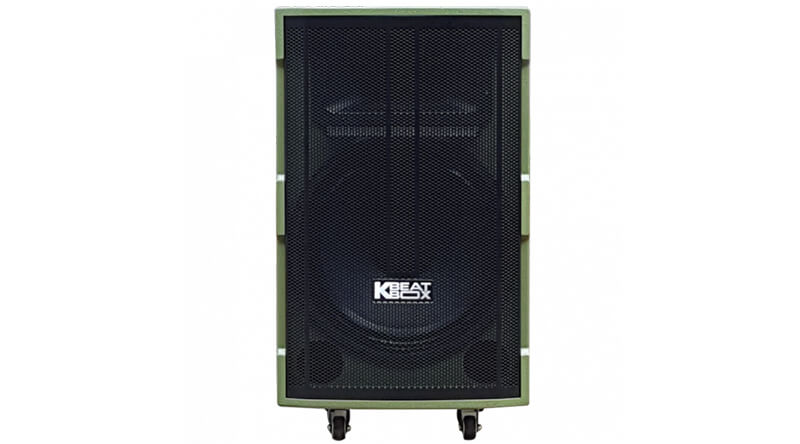 Loa k&eacute;o Acnos CB39GF