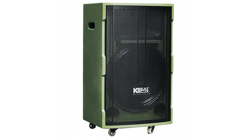 Loa k&eacute;o Acnos CB39GF