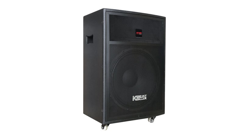 Loa k&eacute;o Acnos CB403GD