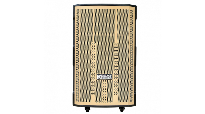 Loa k&eacute;o Acnos CB4051G
