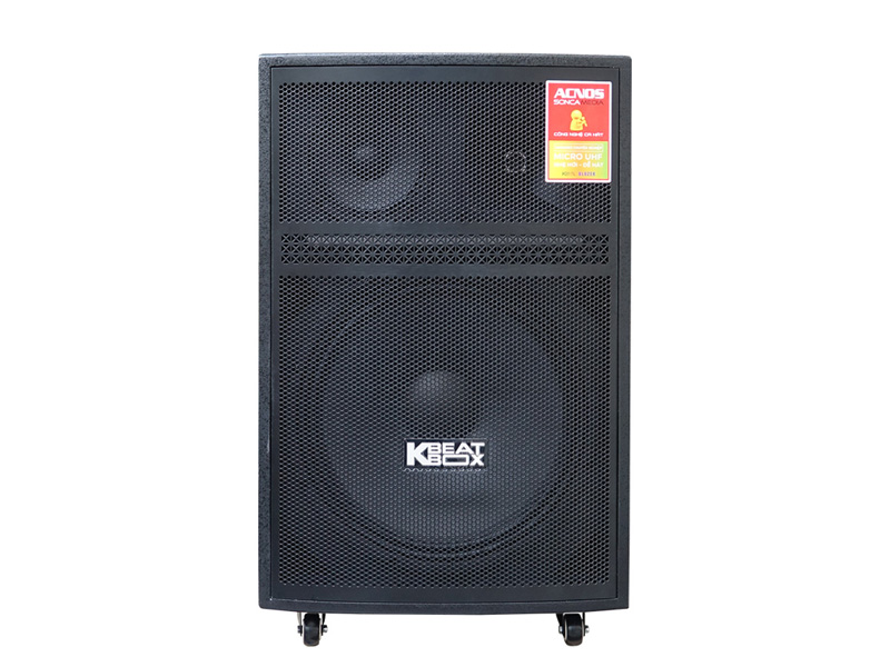 Loa k&eacute;o Acnos CB605PRO