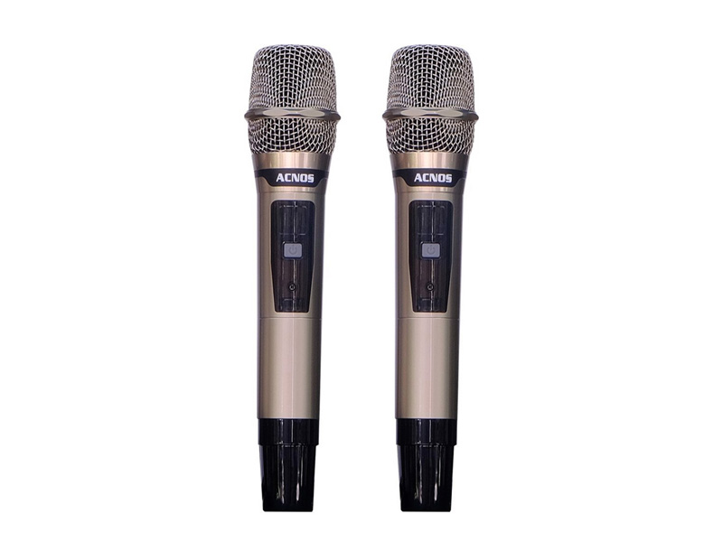 Loa k&eacute;o Acnos CB605PRO
