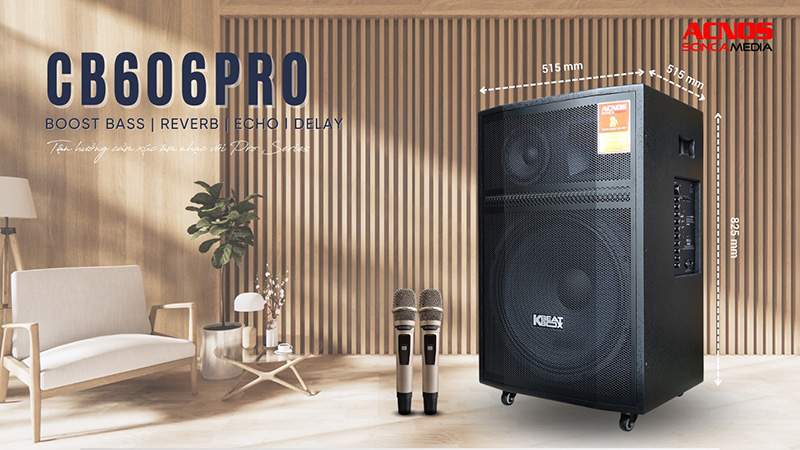 Loa k&eacute;o Acnos CB606PRO