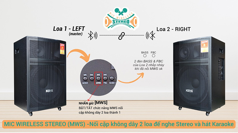 Loa k&eacute;o Acnos CB606PRO