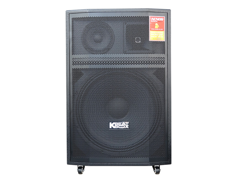 Loa k&eacute;o Acnos CB606PRO