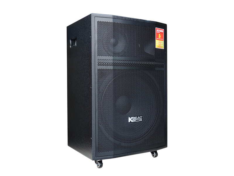 Loa k&eacute;o Acnos CB606PRO