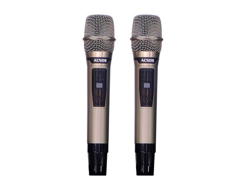 Loa k&eacute;o Acnos CB606PRO
