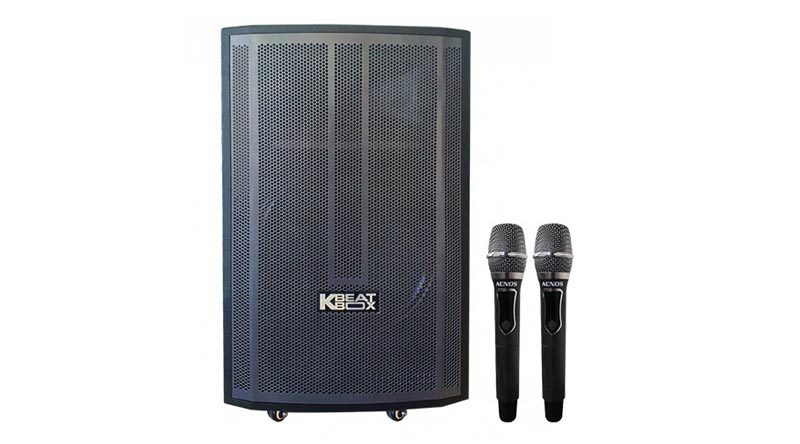 Loa k&eacute;o Acnos CB99GE (Bass 40cm)