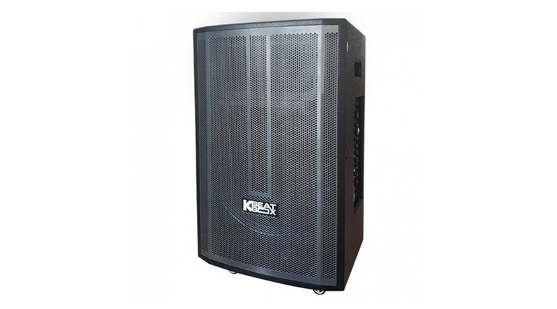 Loa k&eacute;o Acnos CB99GE (Bass 40cm)
