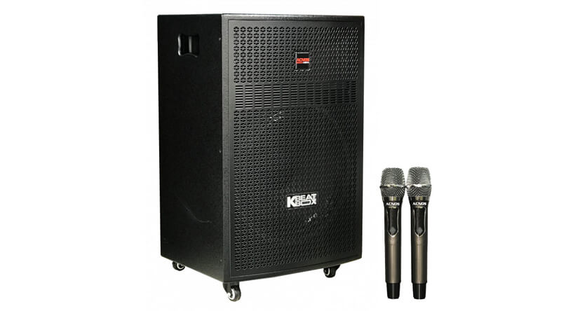 Loa k&eacute;o Acnos CBX16G