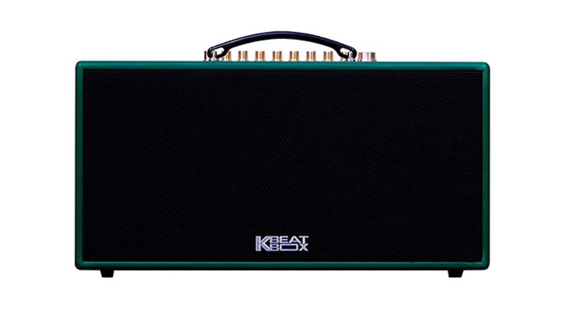 Loa k&eacute;o Acnos CS445D