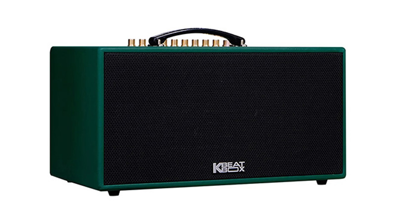 Loa k&eacute;o Acnos CS445D