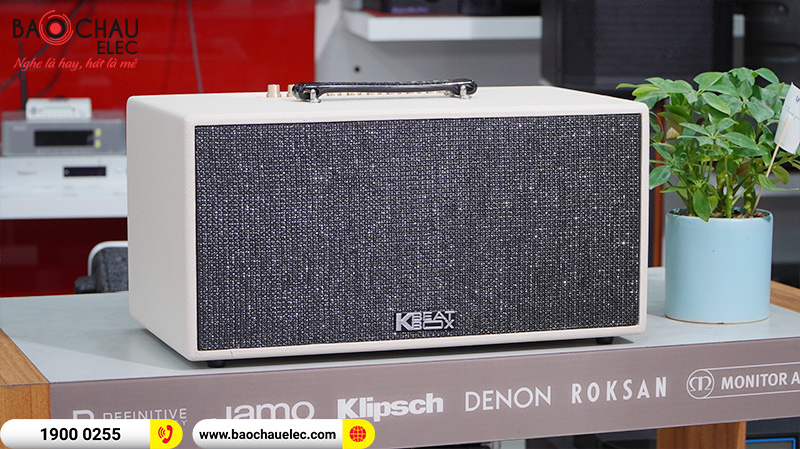 Loa k&eacute;o ACNOS CS447