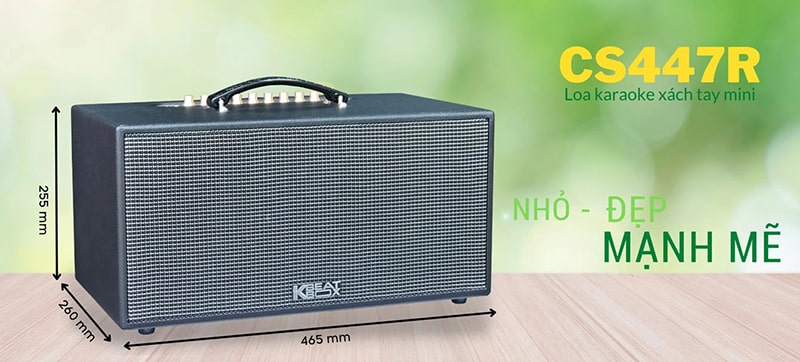 Loa k&eacute;o Acnos CS447R 