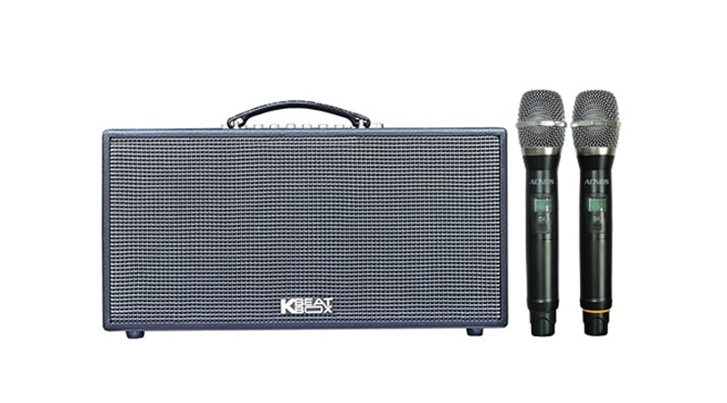 Loa k&eacute;o Acnos CS447R 