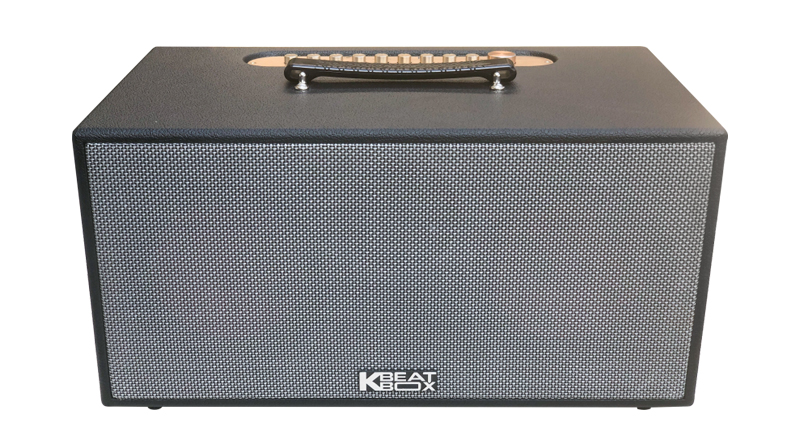 Loa k&eacute;o ACNOS CS450