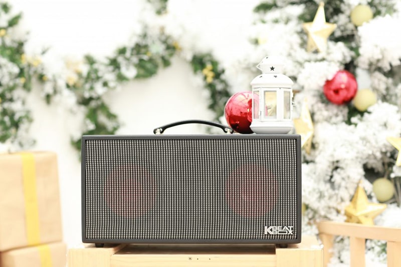 Loa k&eacute;o di động ACNOS KSNet450