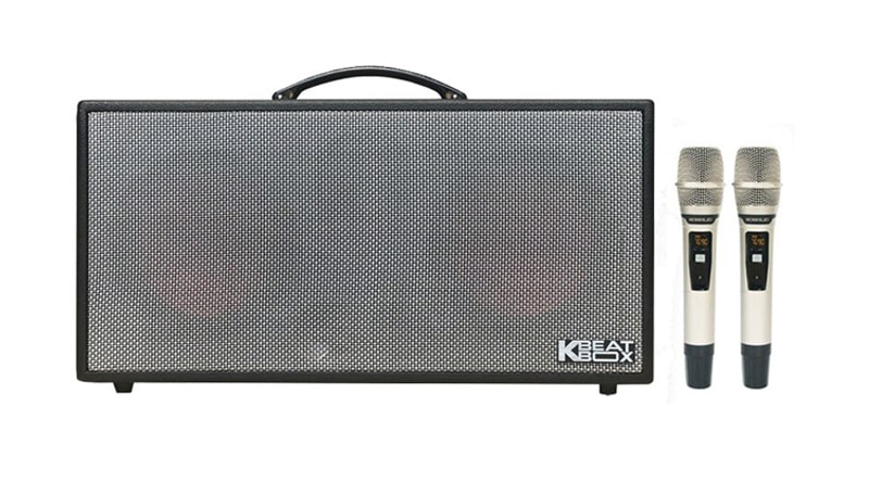 Loa k&eacute;o di động ACNOS KSNet450