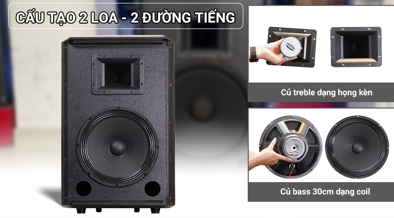 Loa k&eacute;o BIK BMS-3012