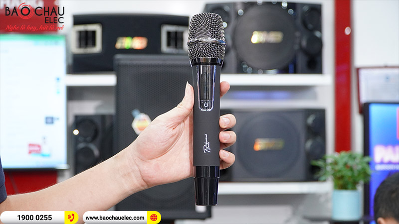 Loa k&eacute;o di động Prosing W15 Super