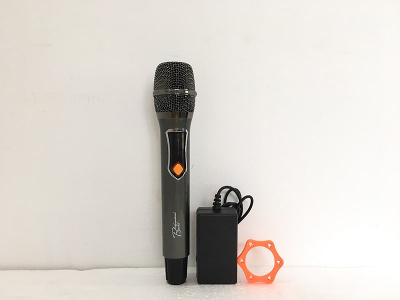 Loa k&eacute;o Prosing W8 Silver-E